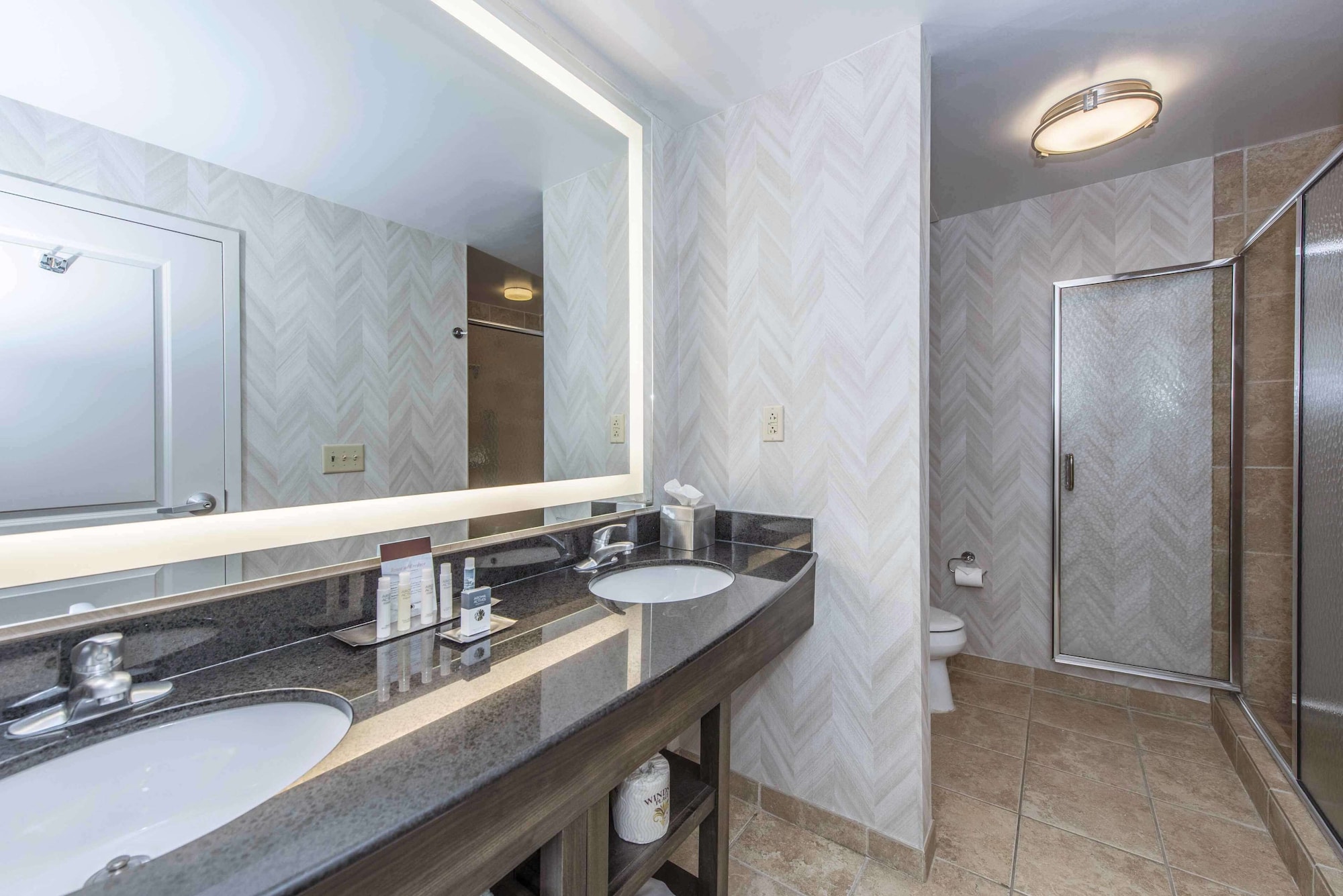 STUDIO, SUITE, KING BED, ACCESSIBLE