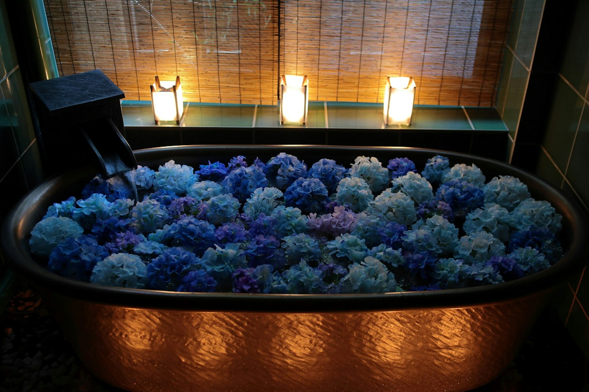 The Junei Hotel Kyoto Imperial Palace West 15/37