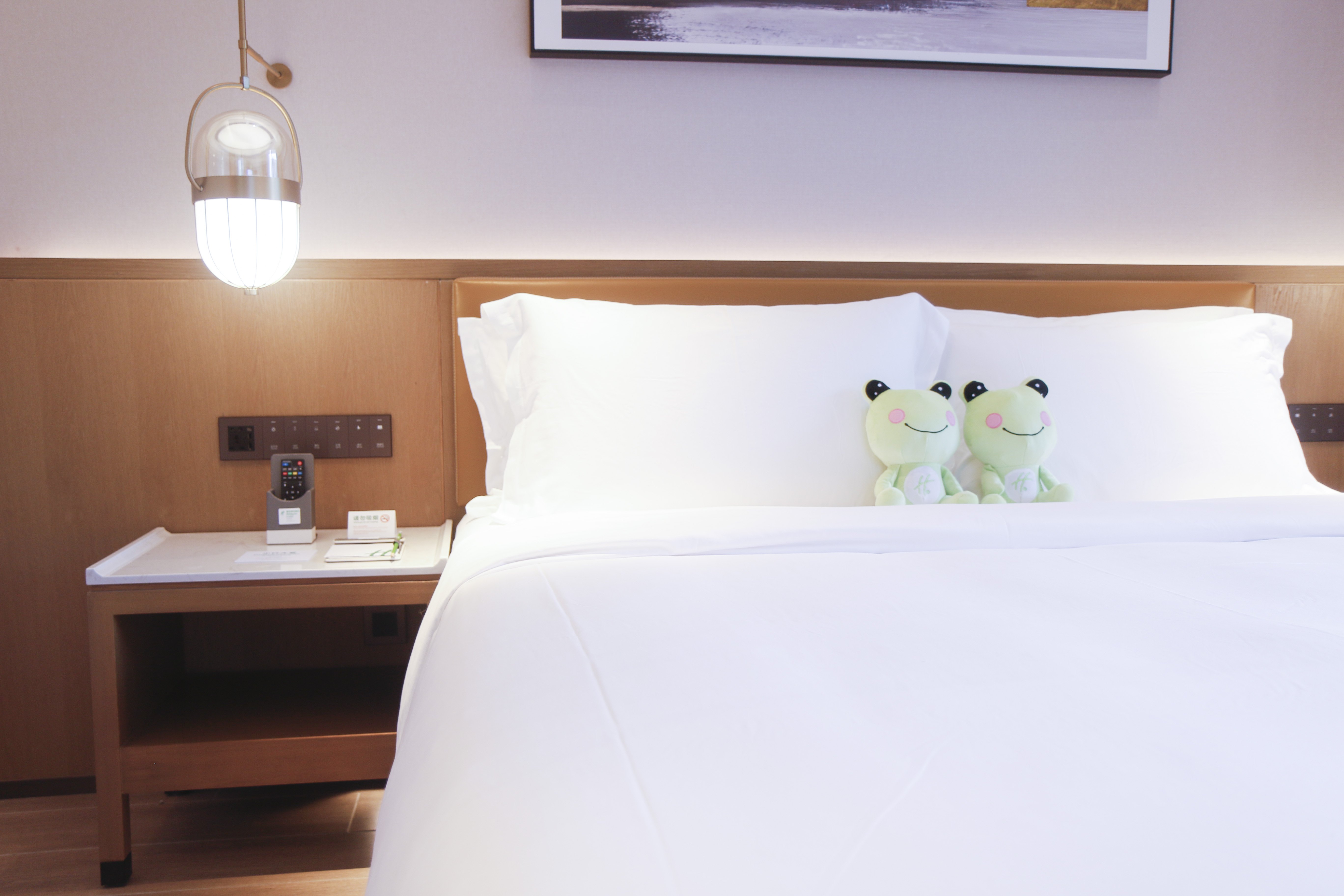 Holiday Inn & Suites SANYA YALONG BAY 19/38