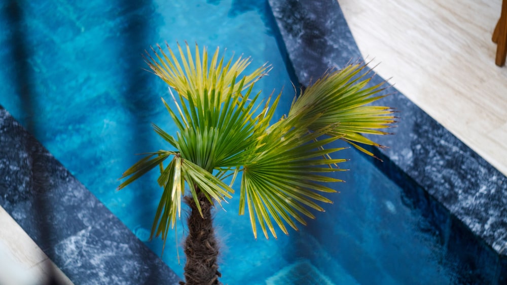 Avlu Alacati Butik Otel 37/46