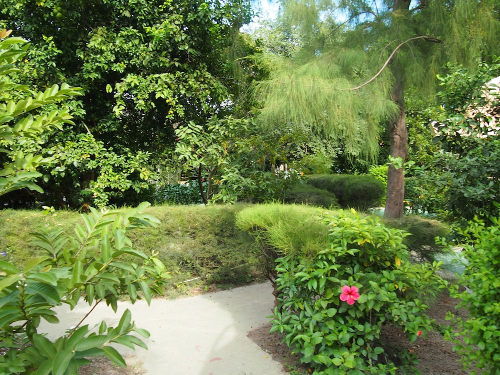 Footsteps Eco Lodge 36/47