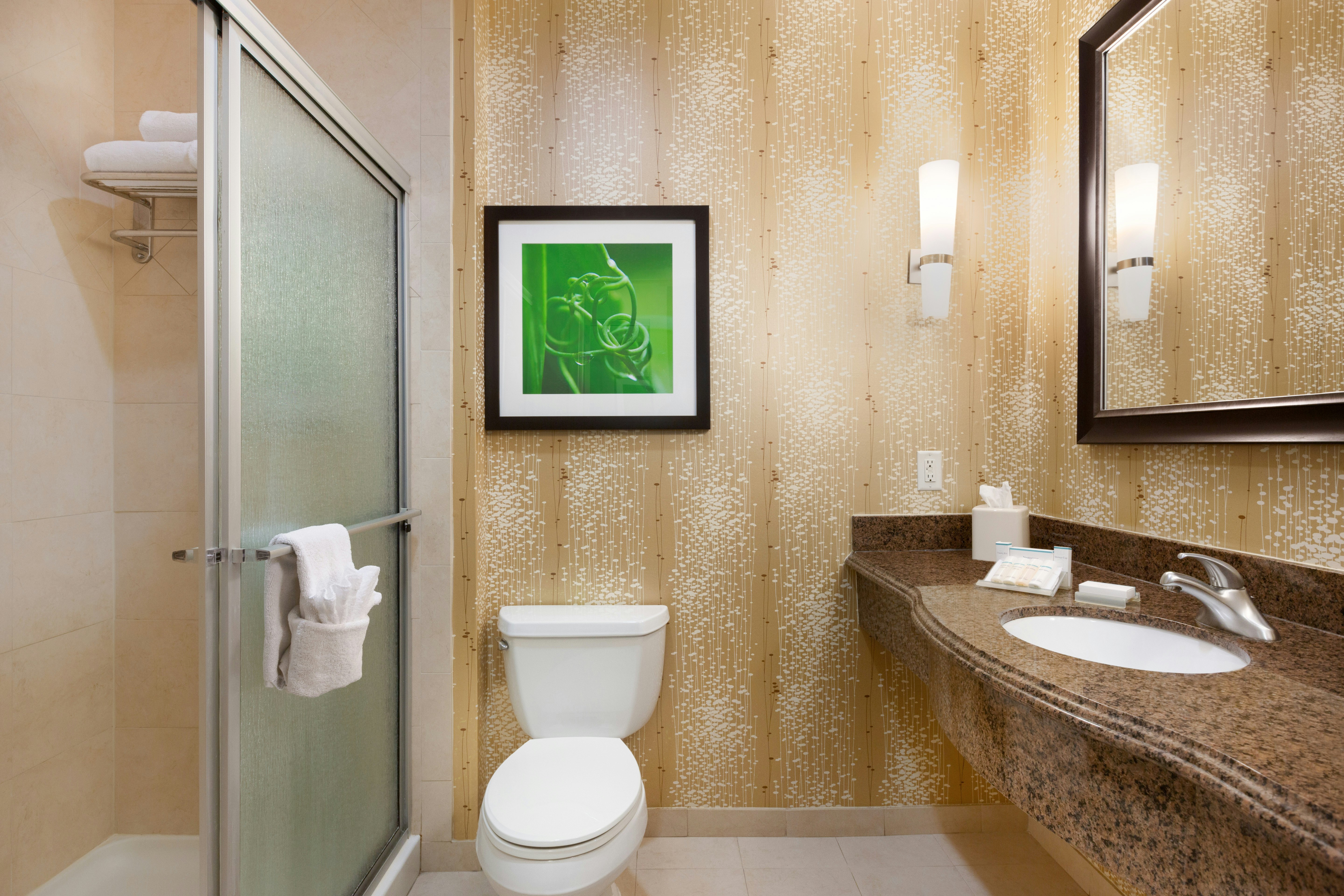 Pure, Wellness, King Bed، Hilton Garden Inn Abilene 5/6