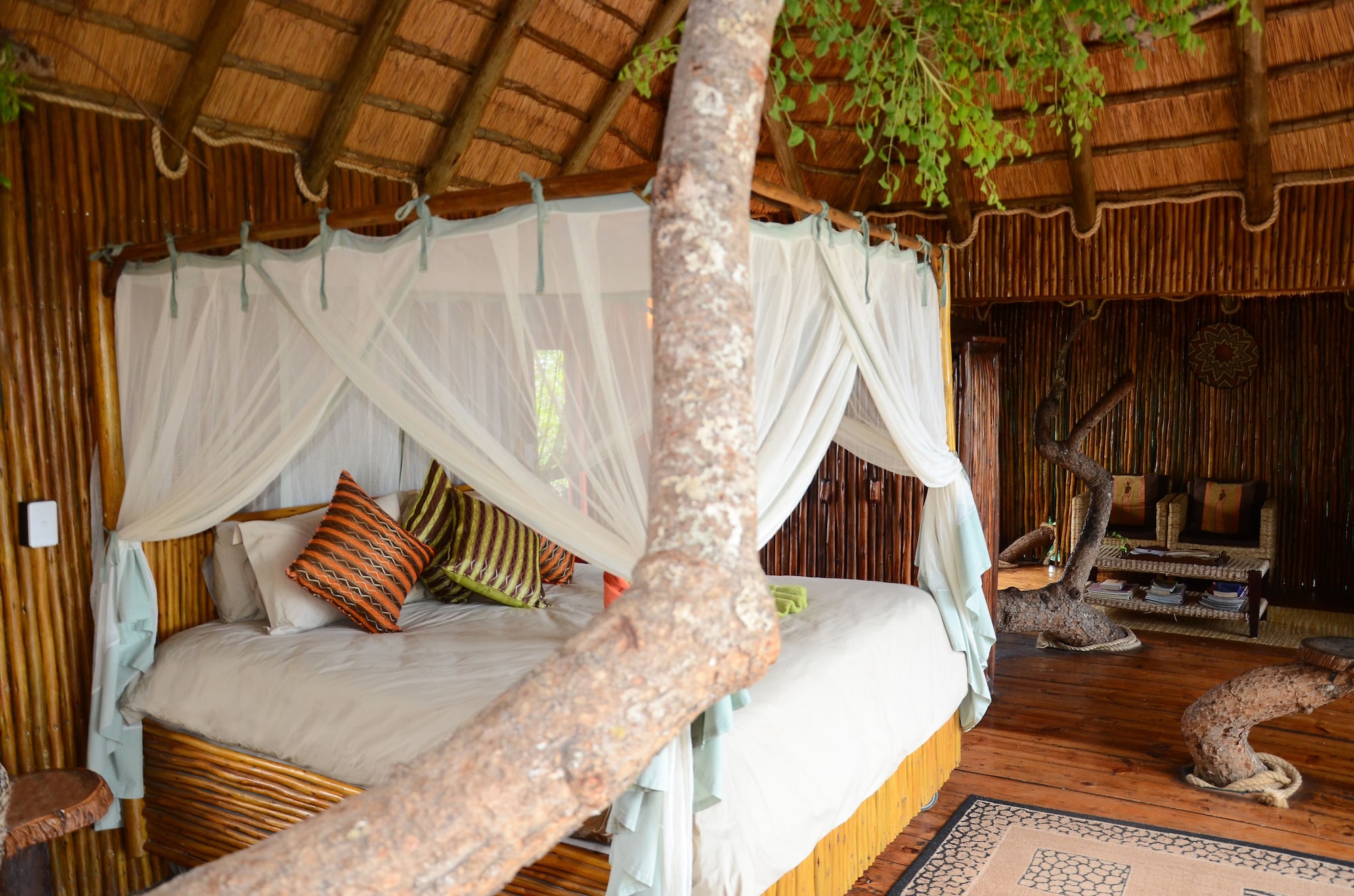 Tree House, Superior, 1 Queen and 3 Single Beds