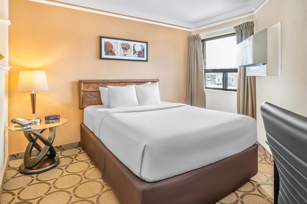 Upgrade, Suite, Queen Bed