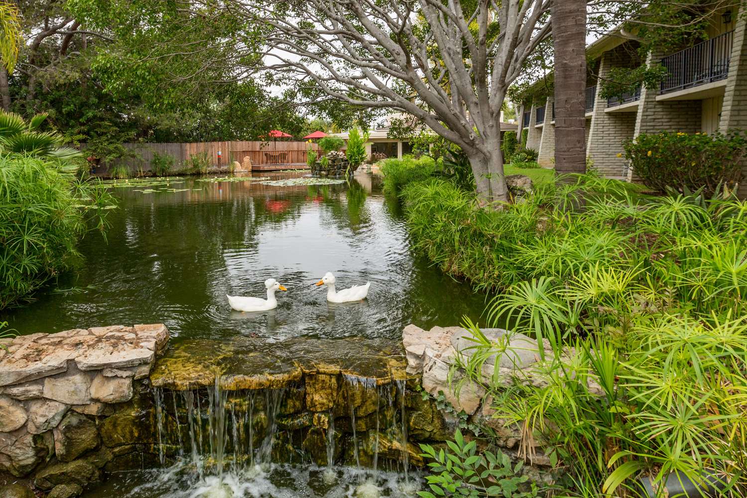 Ramada By Wyndham Santa Barbara 34/42