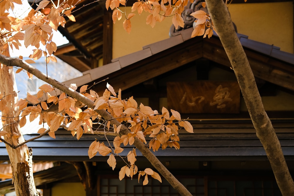 Shinshu Zenkoji Yakuoin 29/56