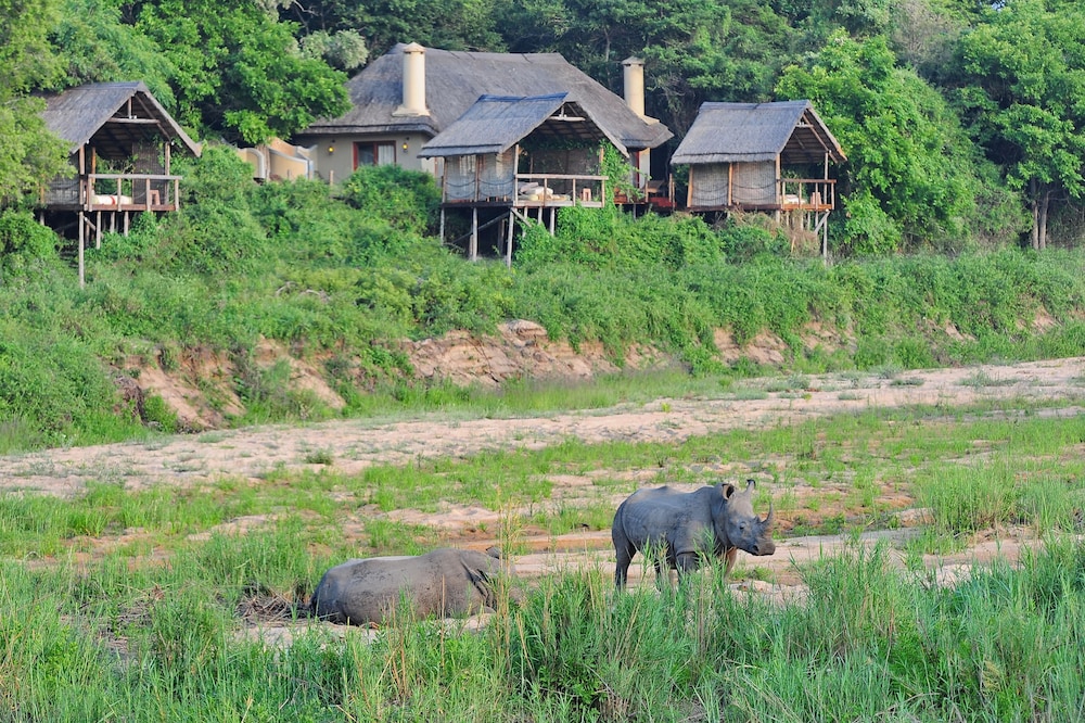 Jock Safari Lodge 6/56