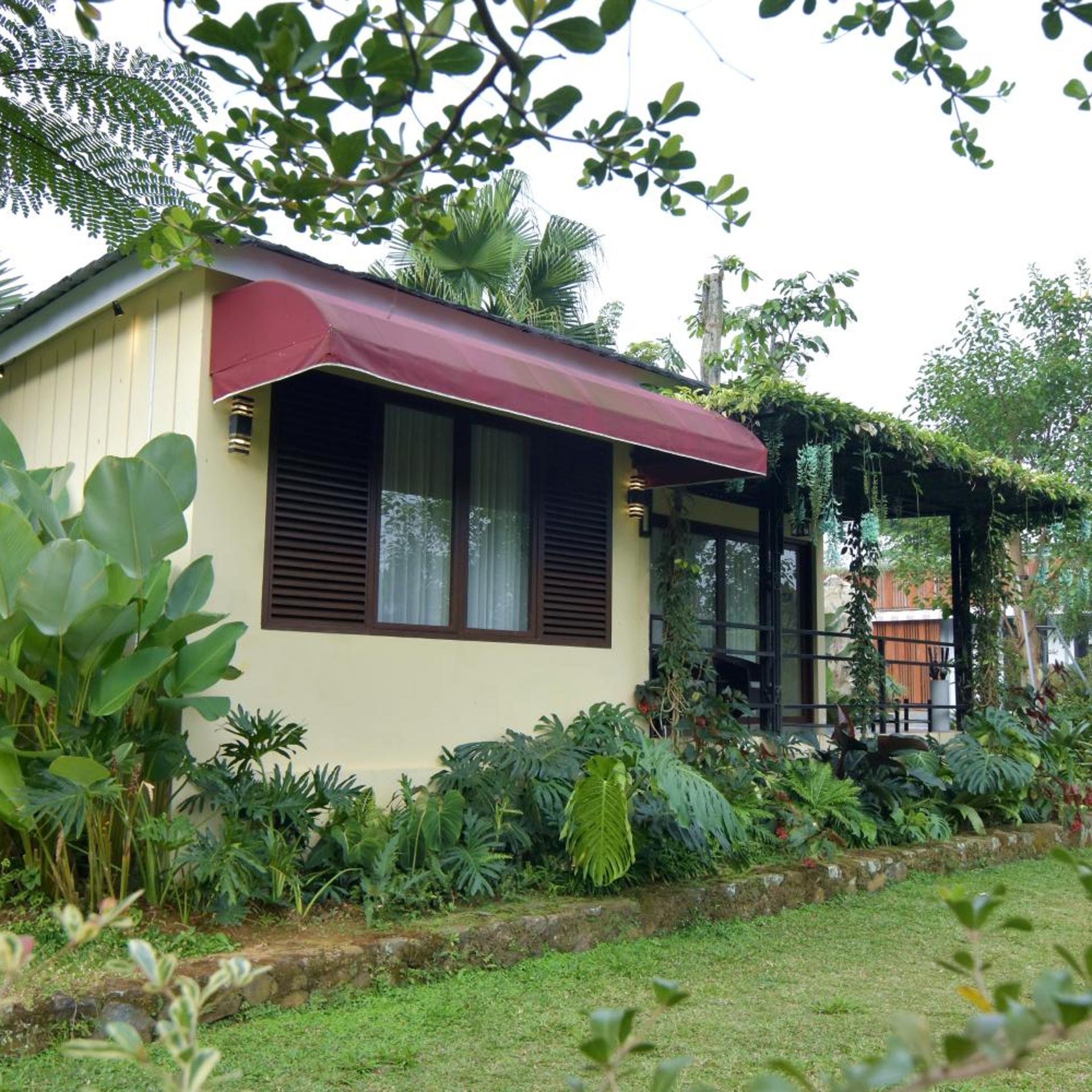 Sarga Earthing Resort 4/50