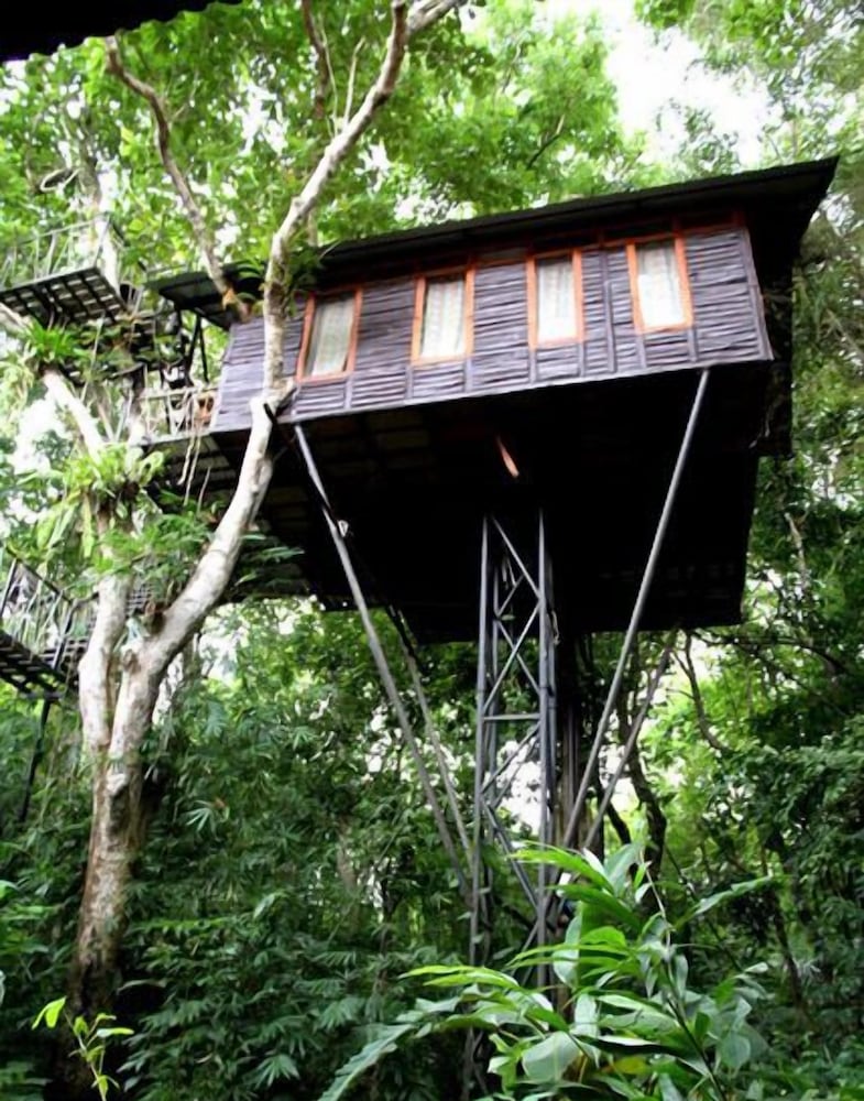Khao Sok Tree House 7/50
