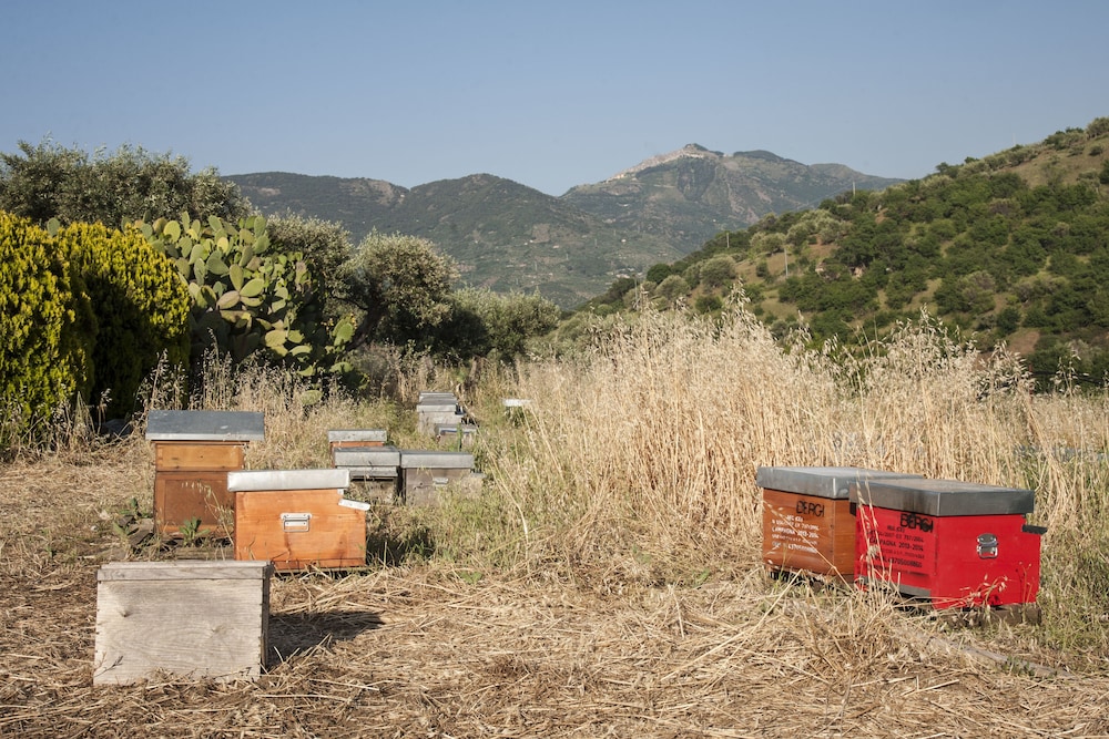 Azienda Agrituristica Bergi 10/70