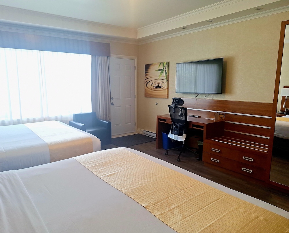 Hotel Suites Le Dauphin 22/74