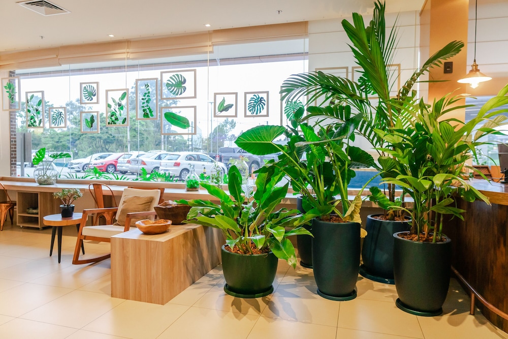 Ibis Styles Curitiba Airport Hotel 29/48