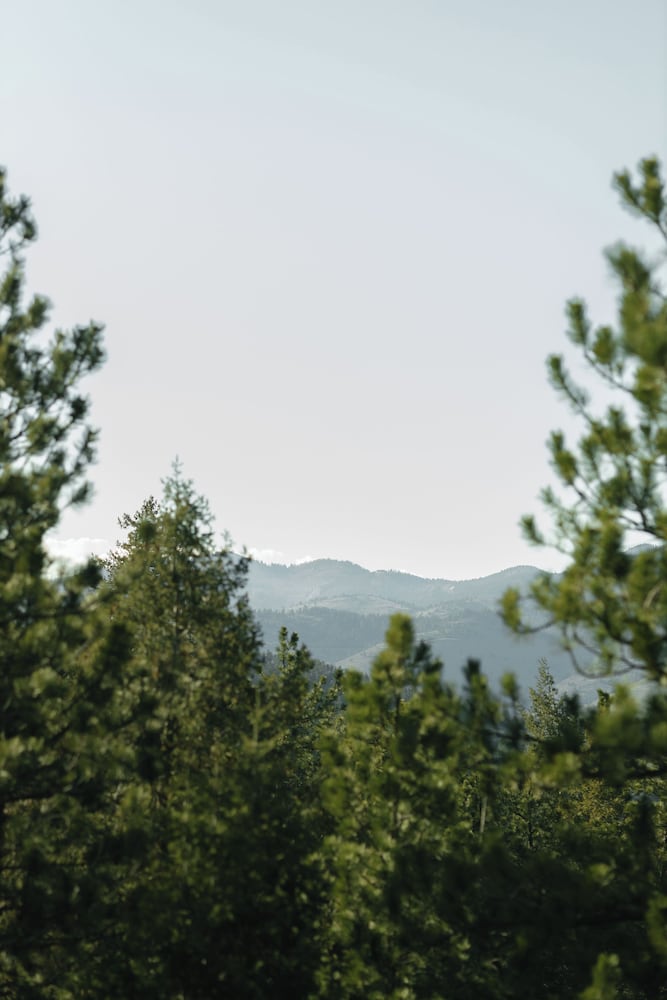 Juniper Mountain House 47/50