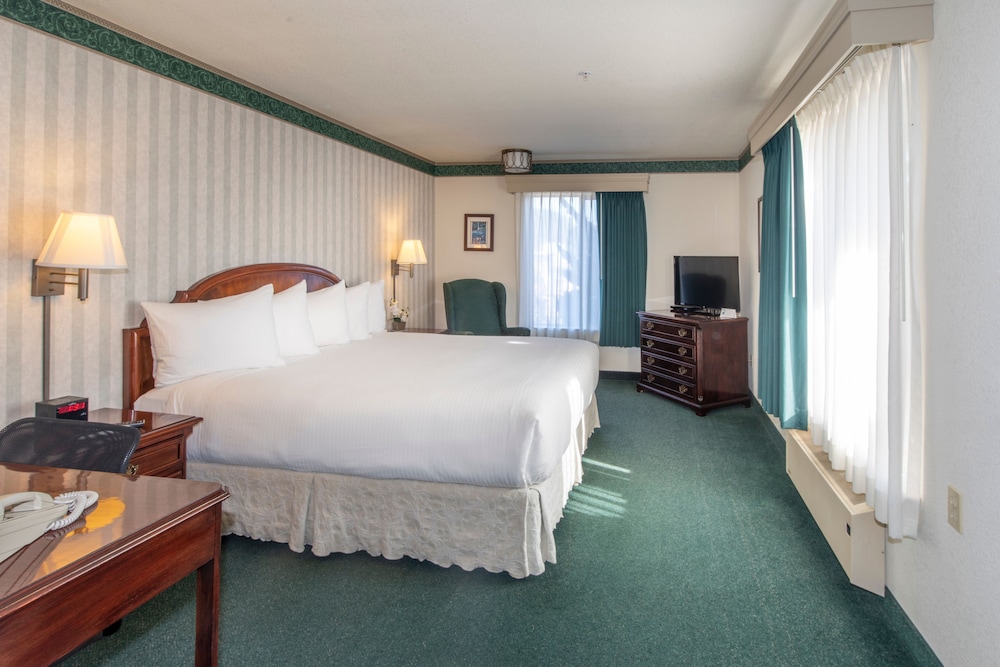 Comfort, Suite, King Bed, Emerald Dolphin Inn 2/5