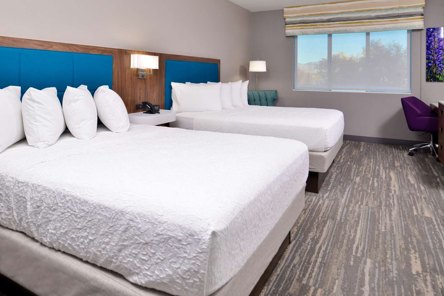 Deluxe, Studio, Queen Bed