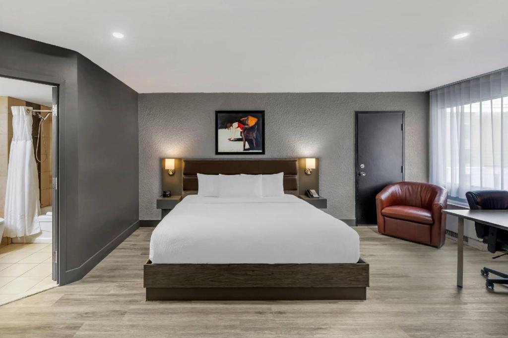 Suite, King Bed