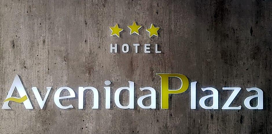 Hotel Avenida Plaza 1/41