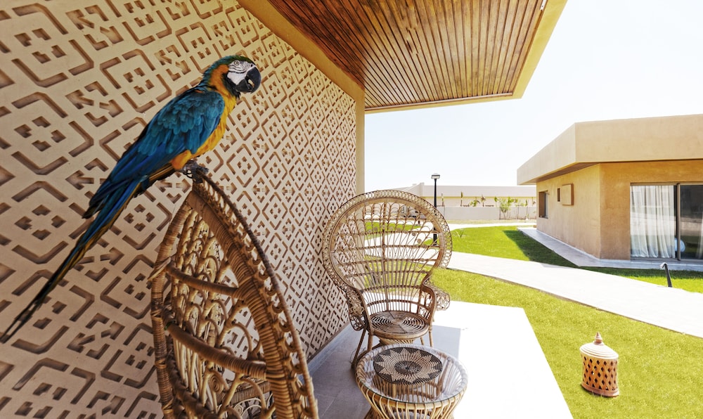 Tulum Beach Resort & Spa Dakhla 31/62