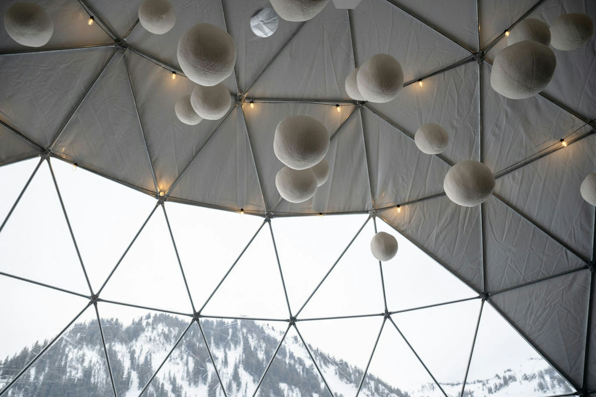 The Snowpine Lodge 2/50