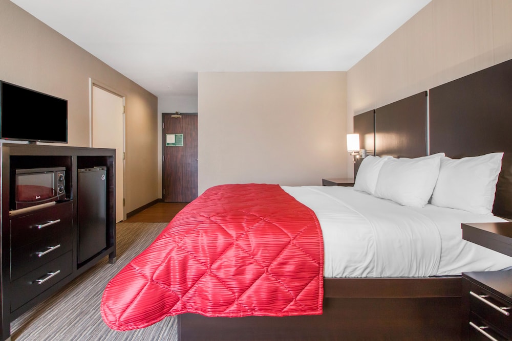 Best Western Courtview Hotel 15/68