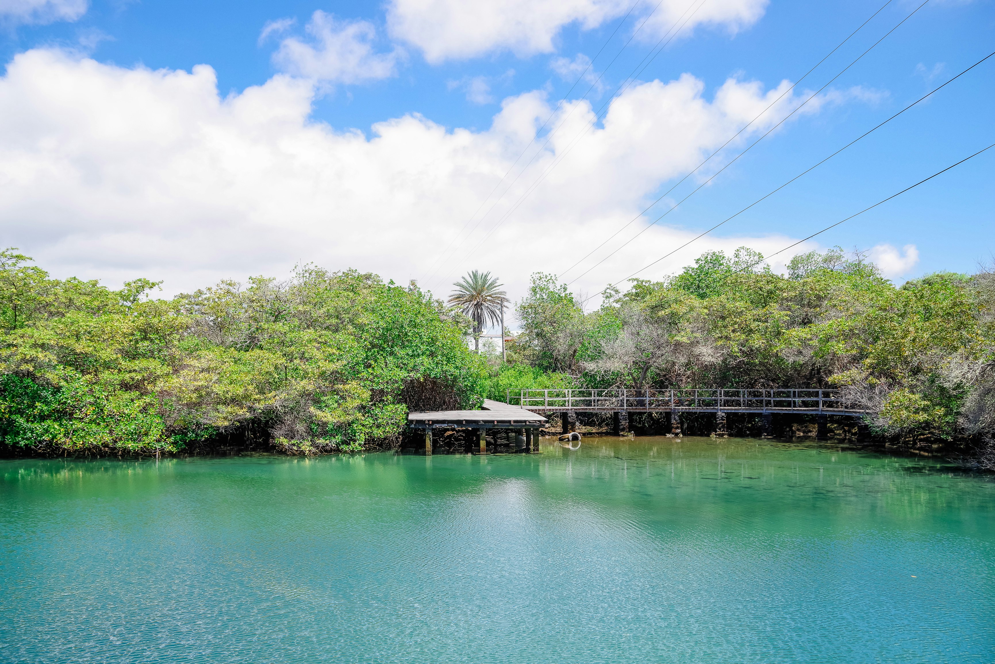 Royal Palm Galapagos, Curio Collection Hotel by Hilton 16/24