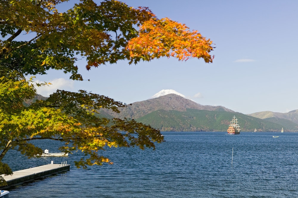 Hakone Hotel 66/72
