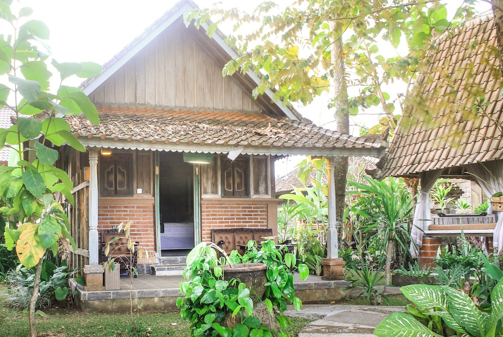 Uma Sari Rice Terrace酒店(Uma Sari Rice Terrace) 图片1