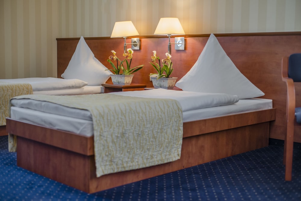 Vega Hotel 13/37