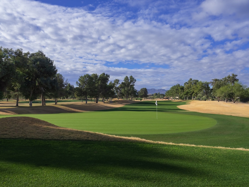 Omni Tucson National Resort 36/82