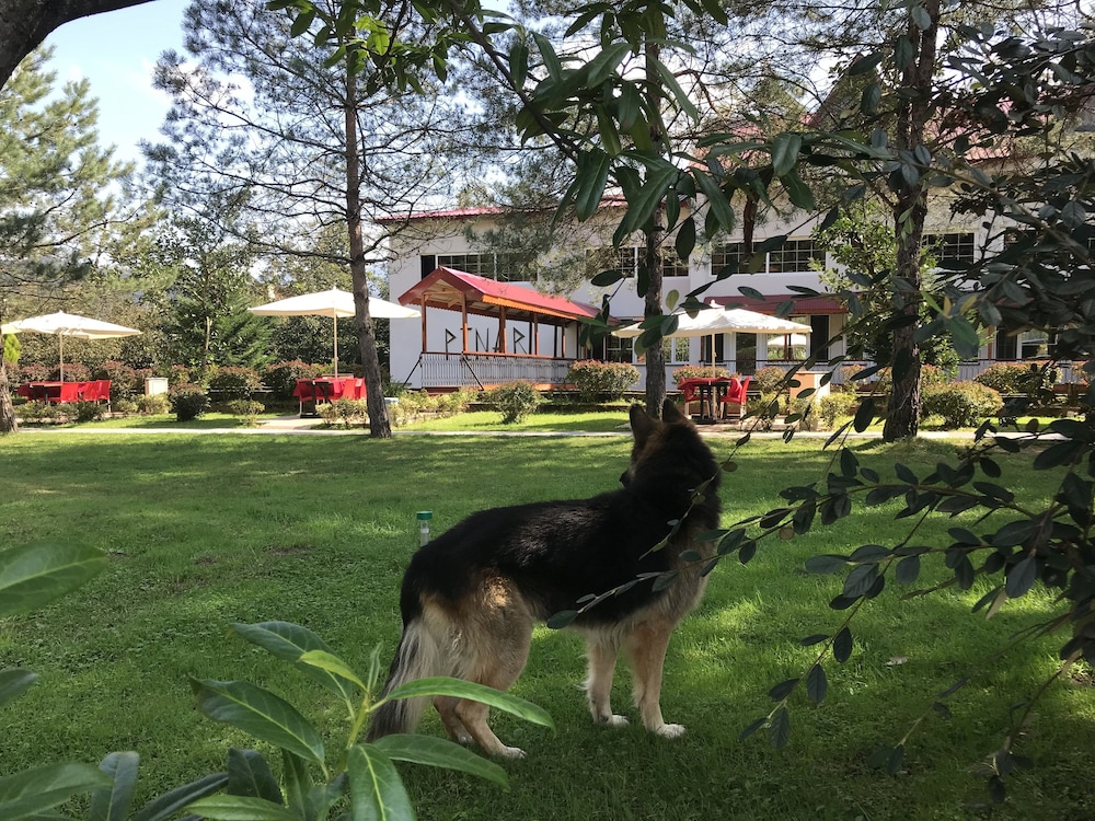 Pinar Kir Evi 39/48