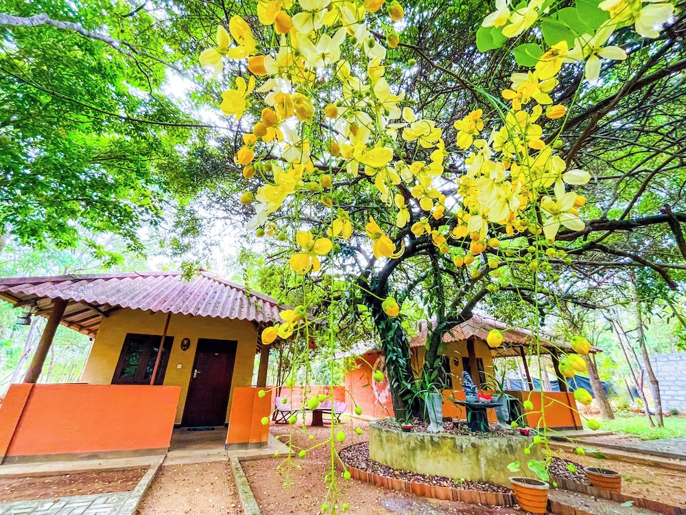 Niyagala Lodge 35/50