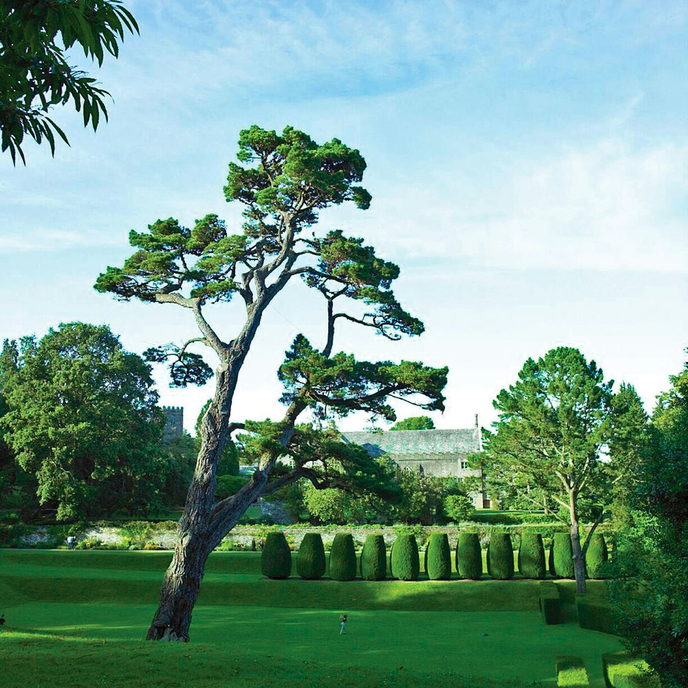 Dartington Hall Hotel 50/55