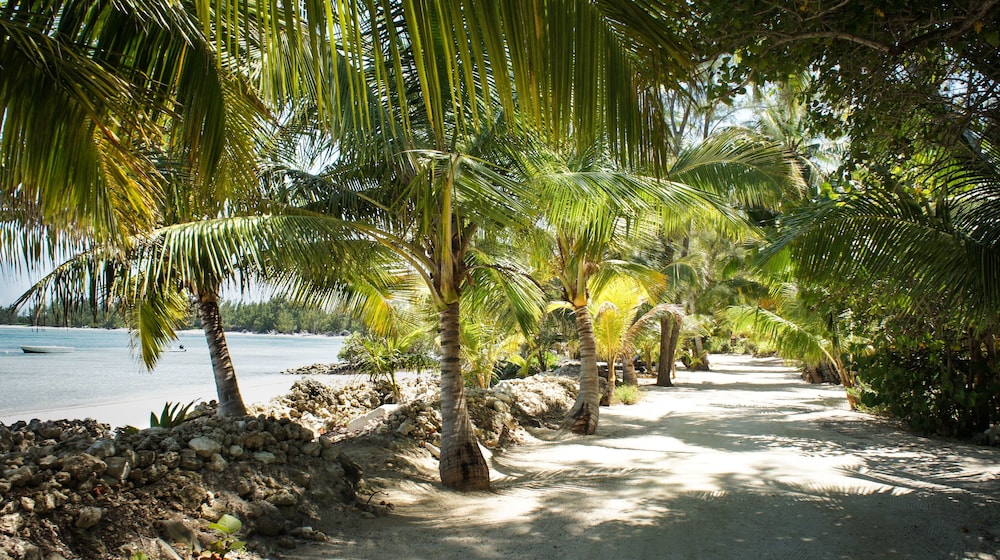 Small Hope Bay Lodge All Inclusive 46/53