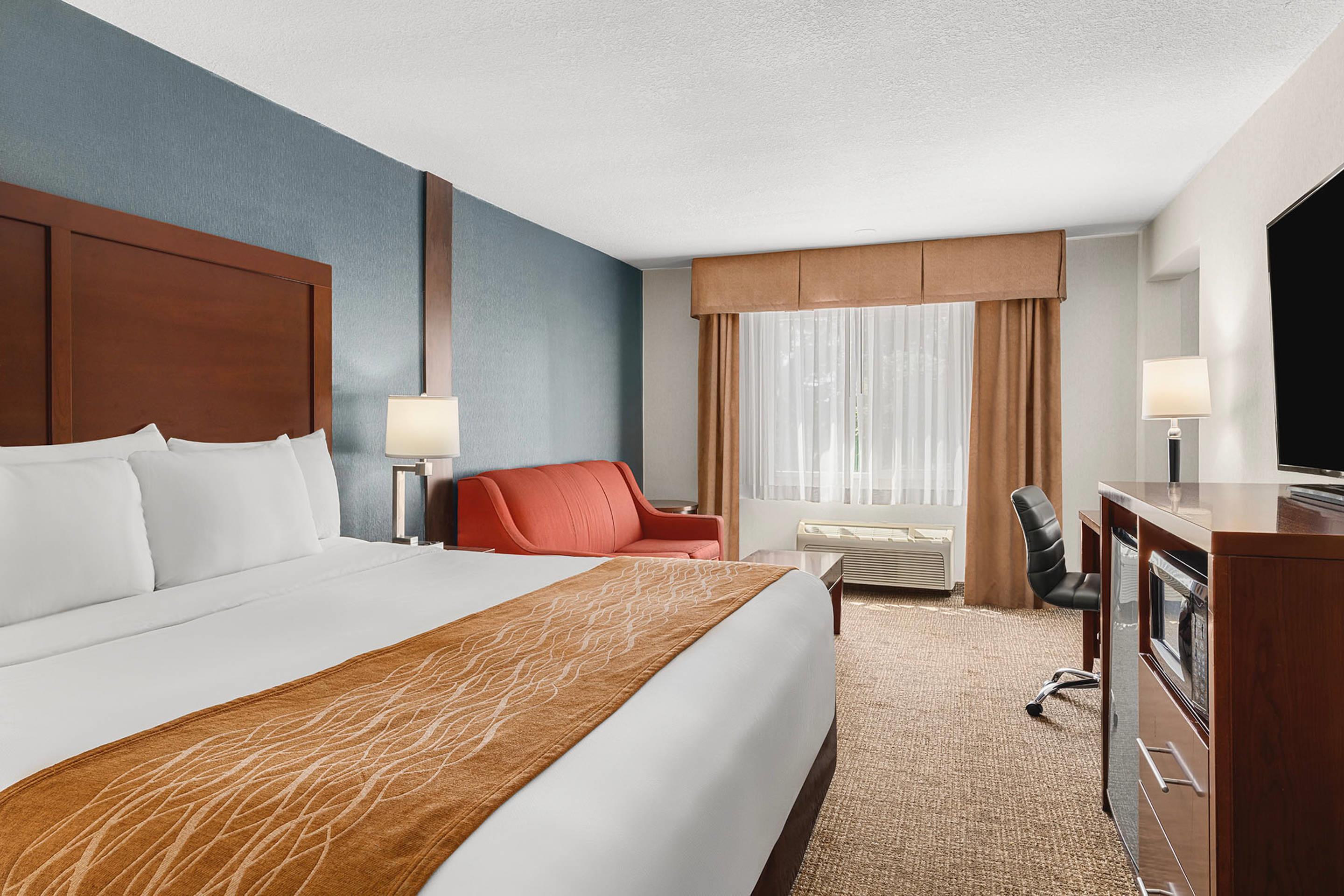 Upgrade, Suite, King Bed