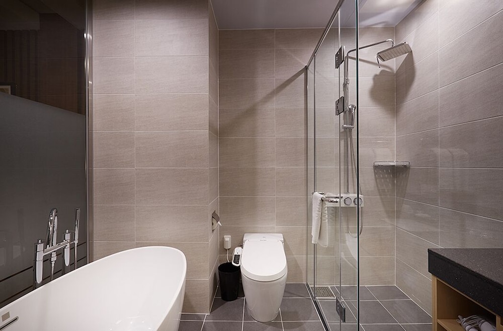 H Hotel Sejong City 41/44