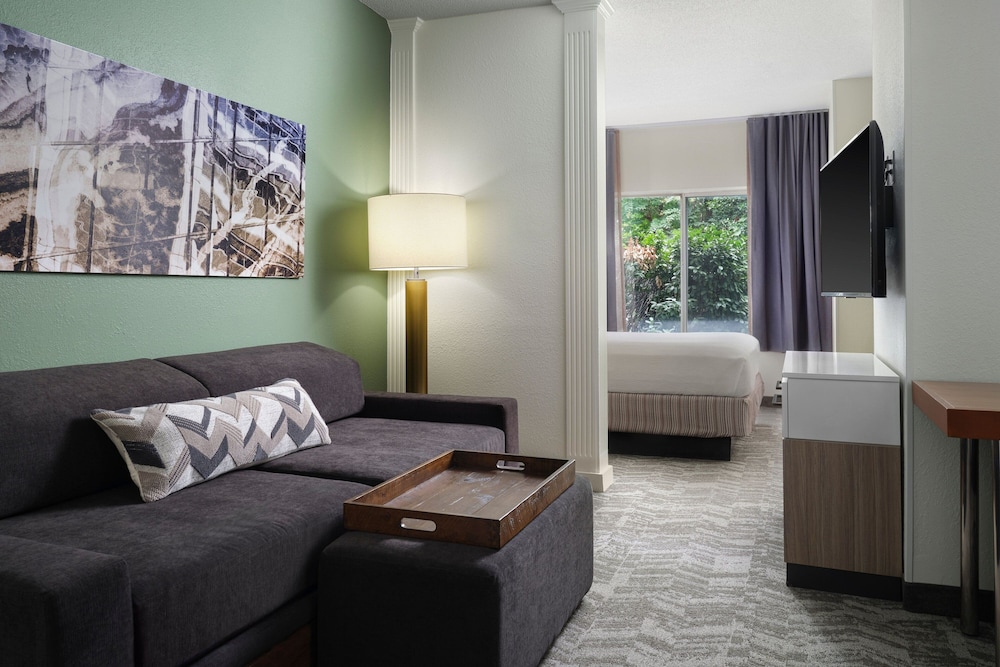 Springhill Suites By Marriott Metro Center 20/47