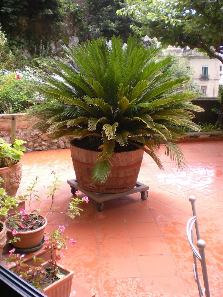 L Argine Fiorito 35/38