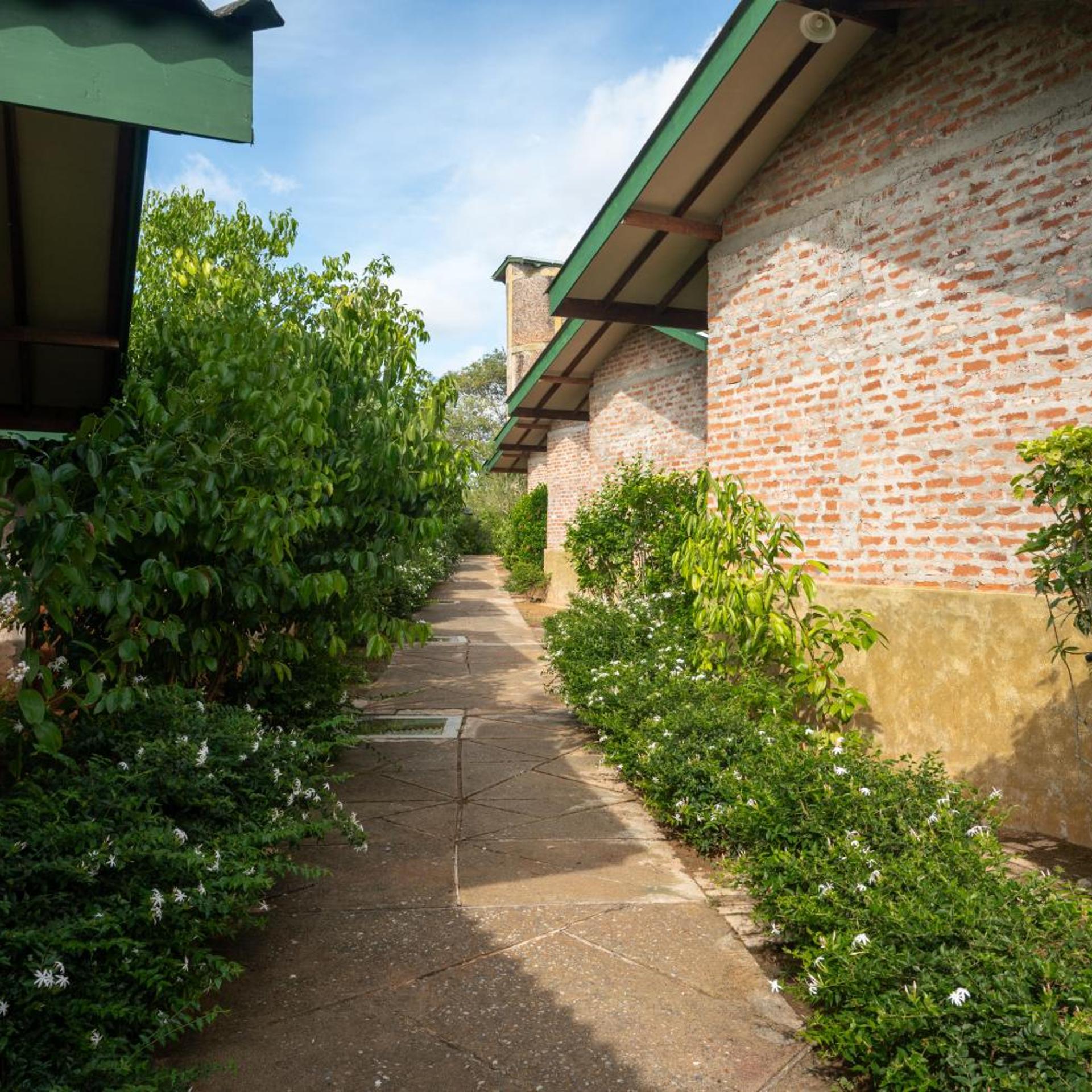 The Coastal Village Cabanas 42/50