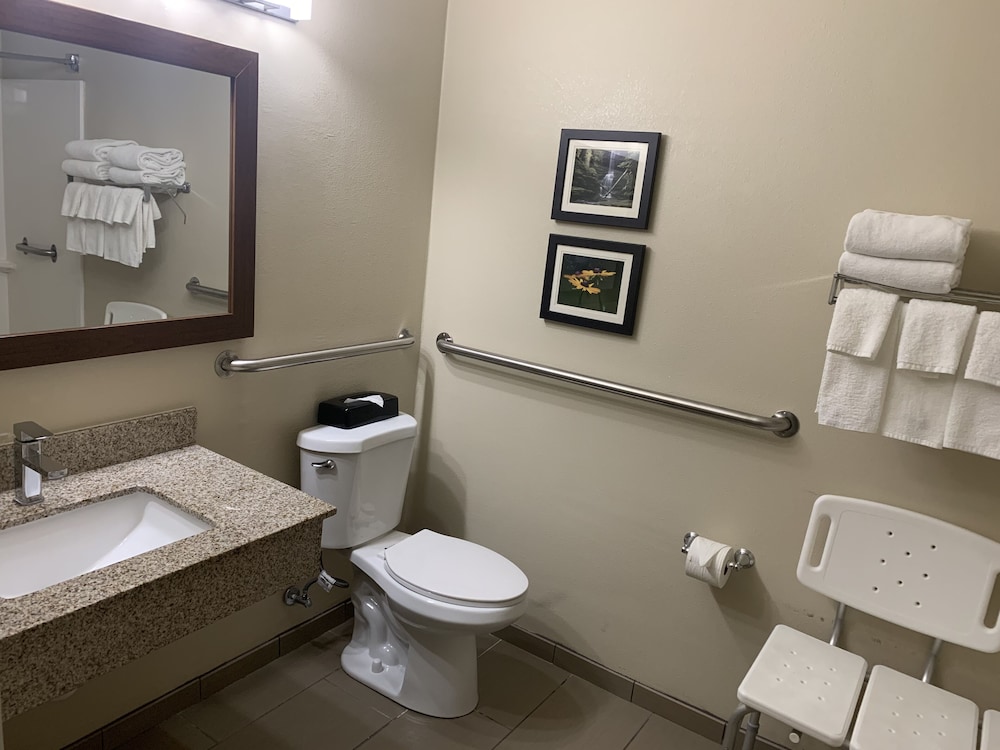 Comfort Suites Peoria I-74 12/35