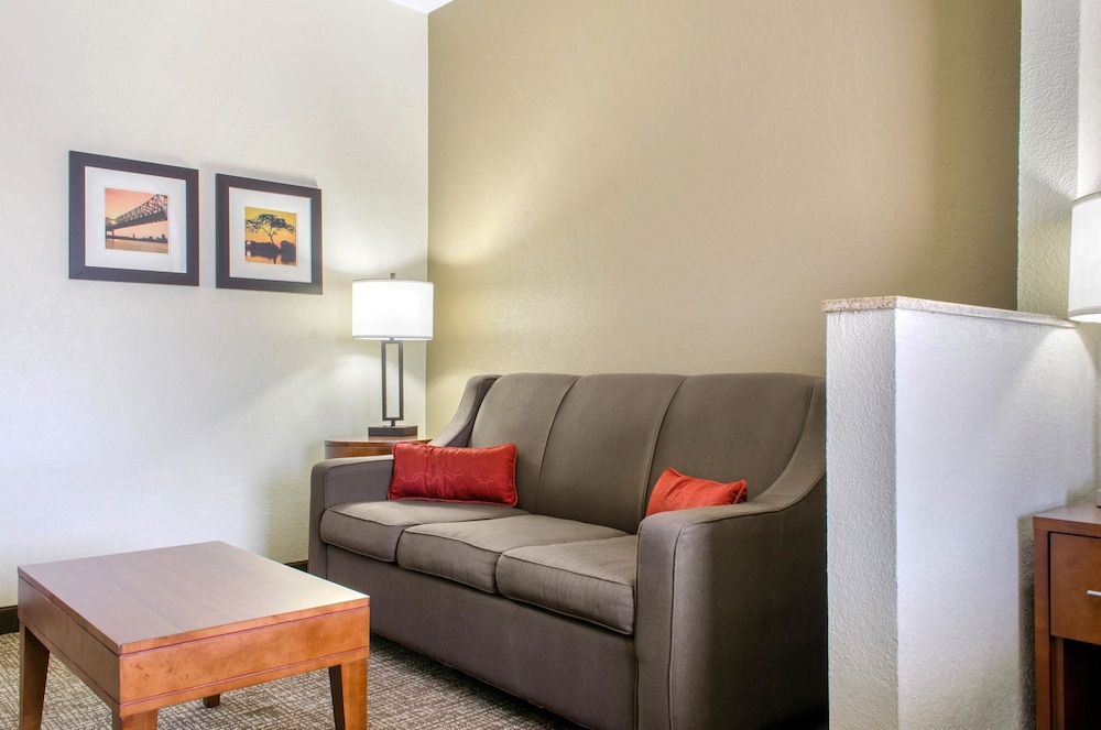 Comfort Inn & Suites Covington - Mandeville 21/32