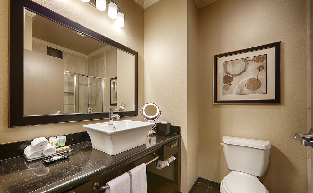Best Western Premier Crown Chase Inn and Suites 25/70