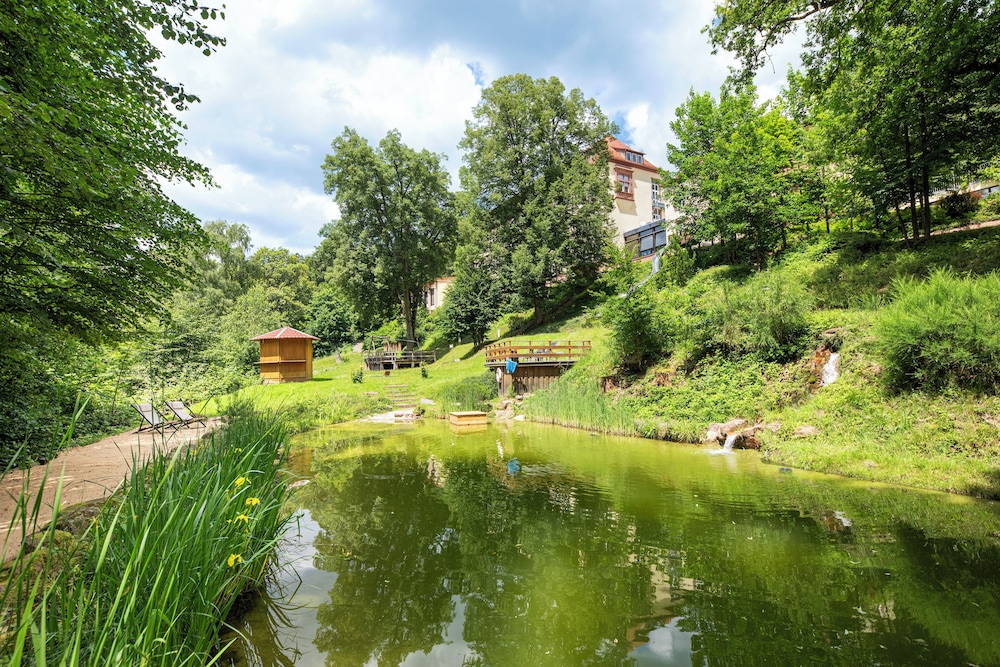 Roomingtons Franziskushohe Lohr 51/54
