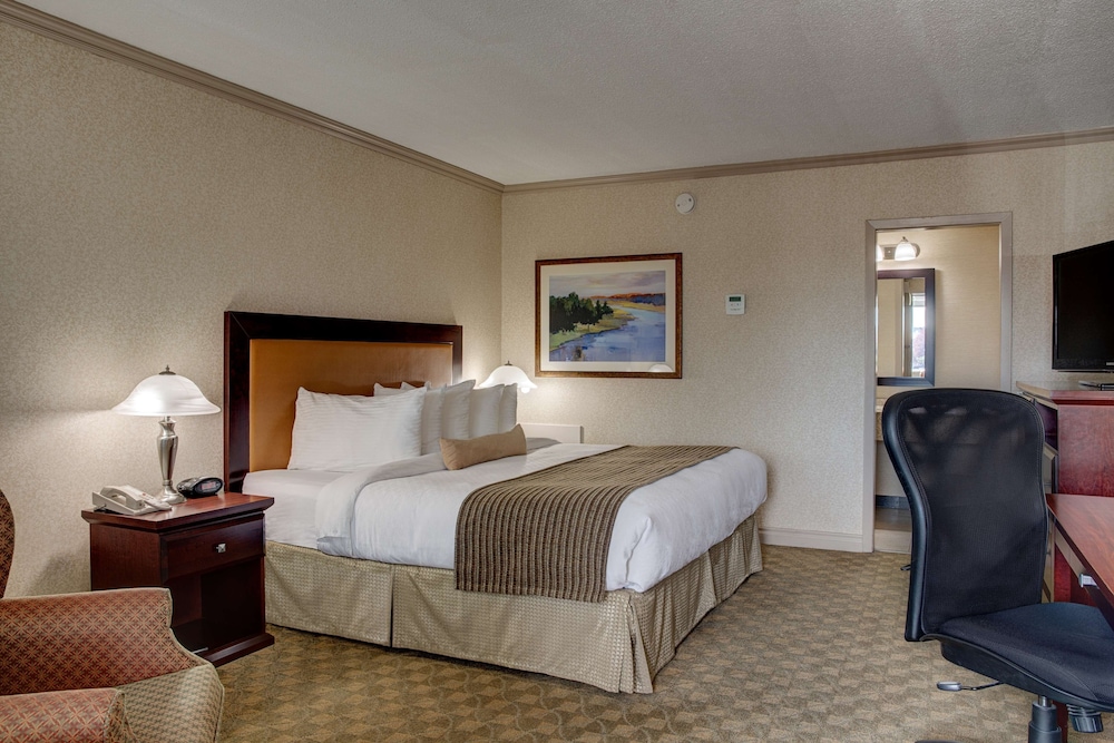 Best Western Plus City Centre Inn 19/52
