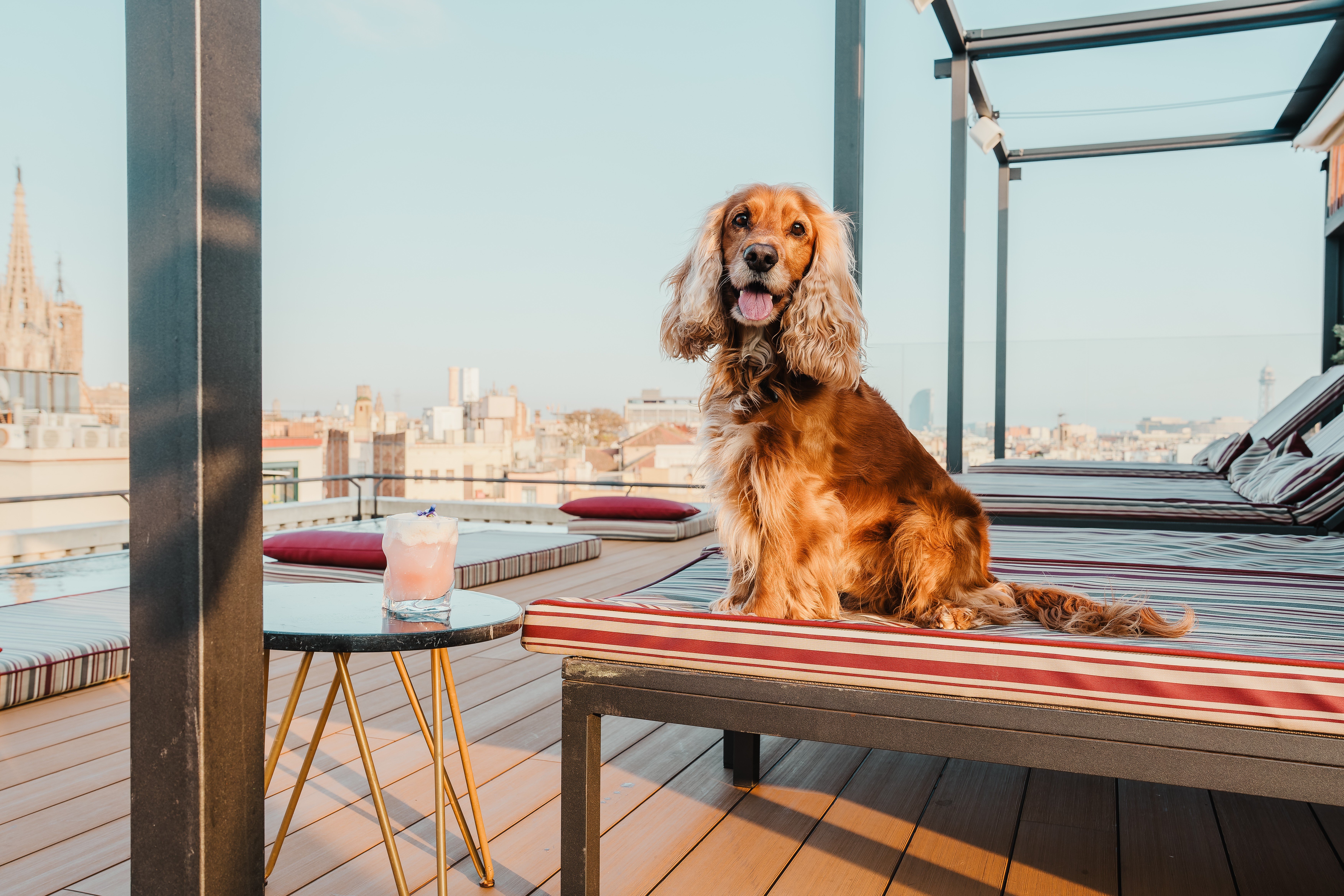 Kimpton Vividora Barcelona 42/83