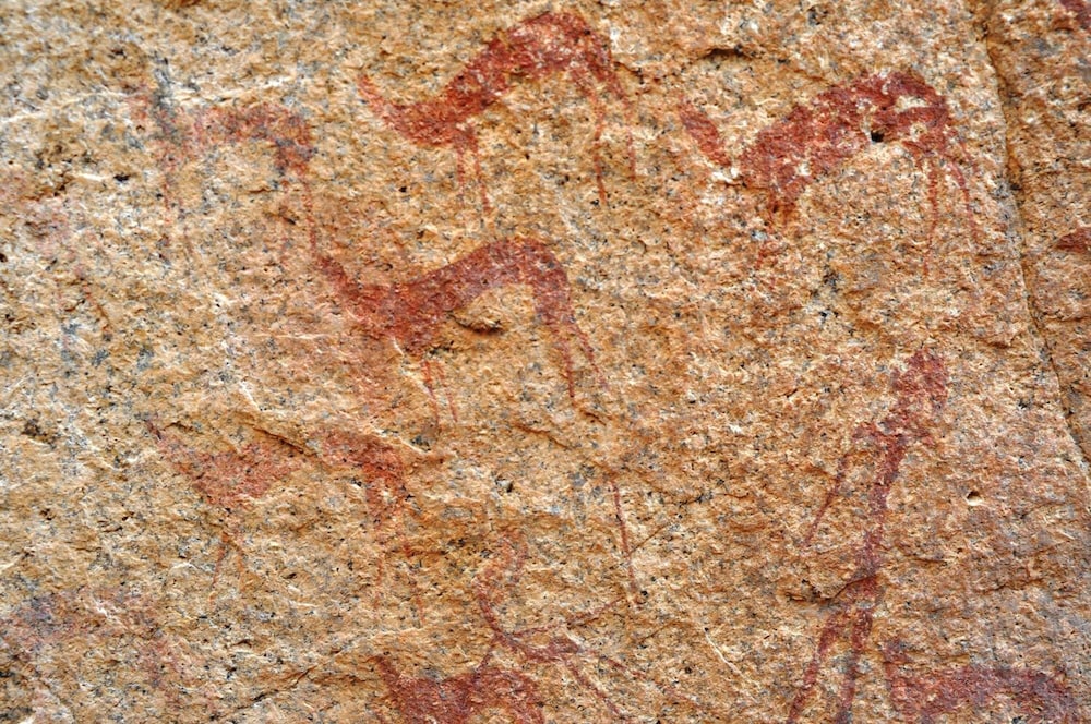 Kashana Namibia 50/54