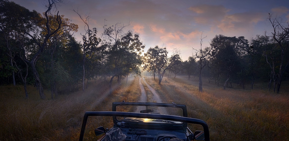 Pench Jungle Camp 65/71