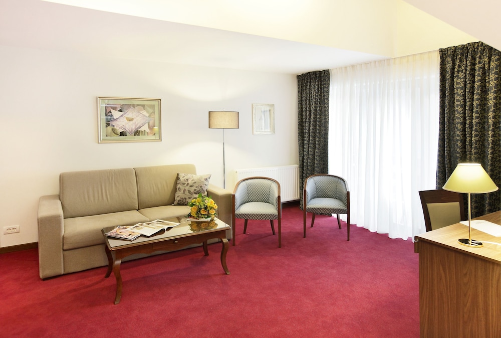 HOTEL BOUTIQUE BELVEDERE SINAIA 27/60