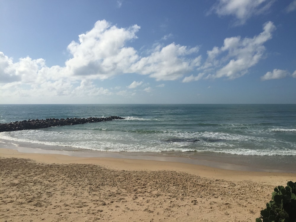 Paraiso Natal 56/64