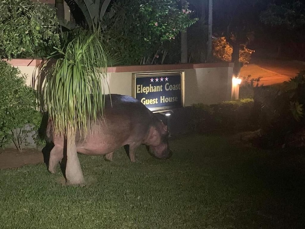 Elephant Coast Guest House 37/50