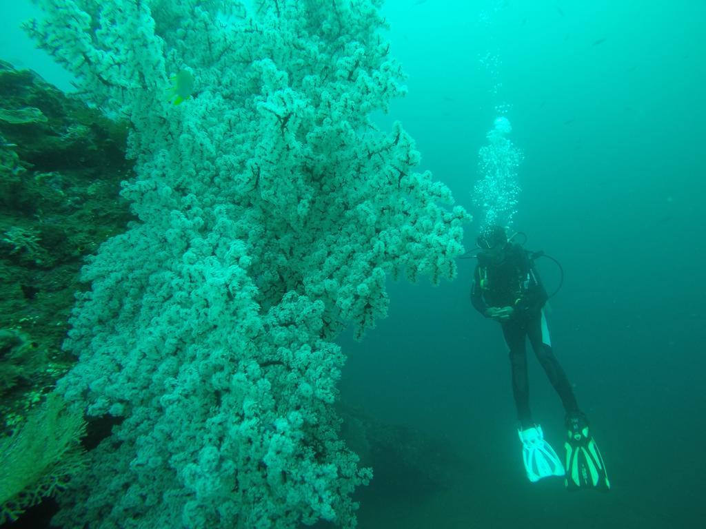 Ocean View Tulamben Dive And Resort 18/22